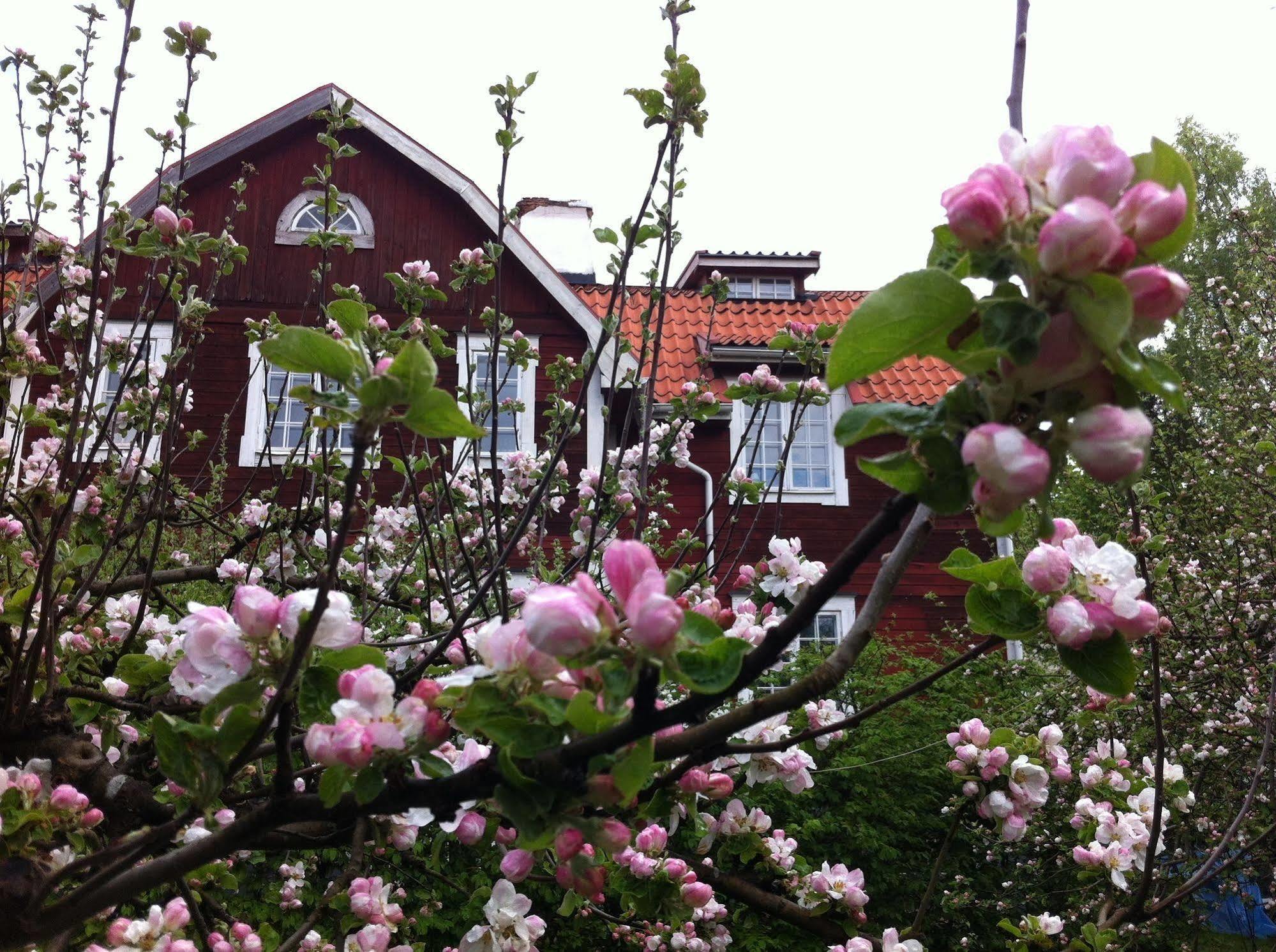 Stockholm B&B Cottage Nacka Luaran gambar